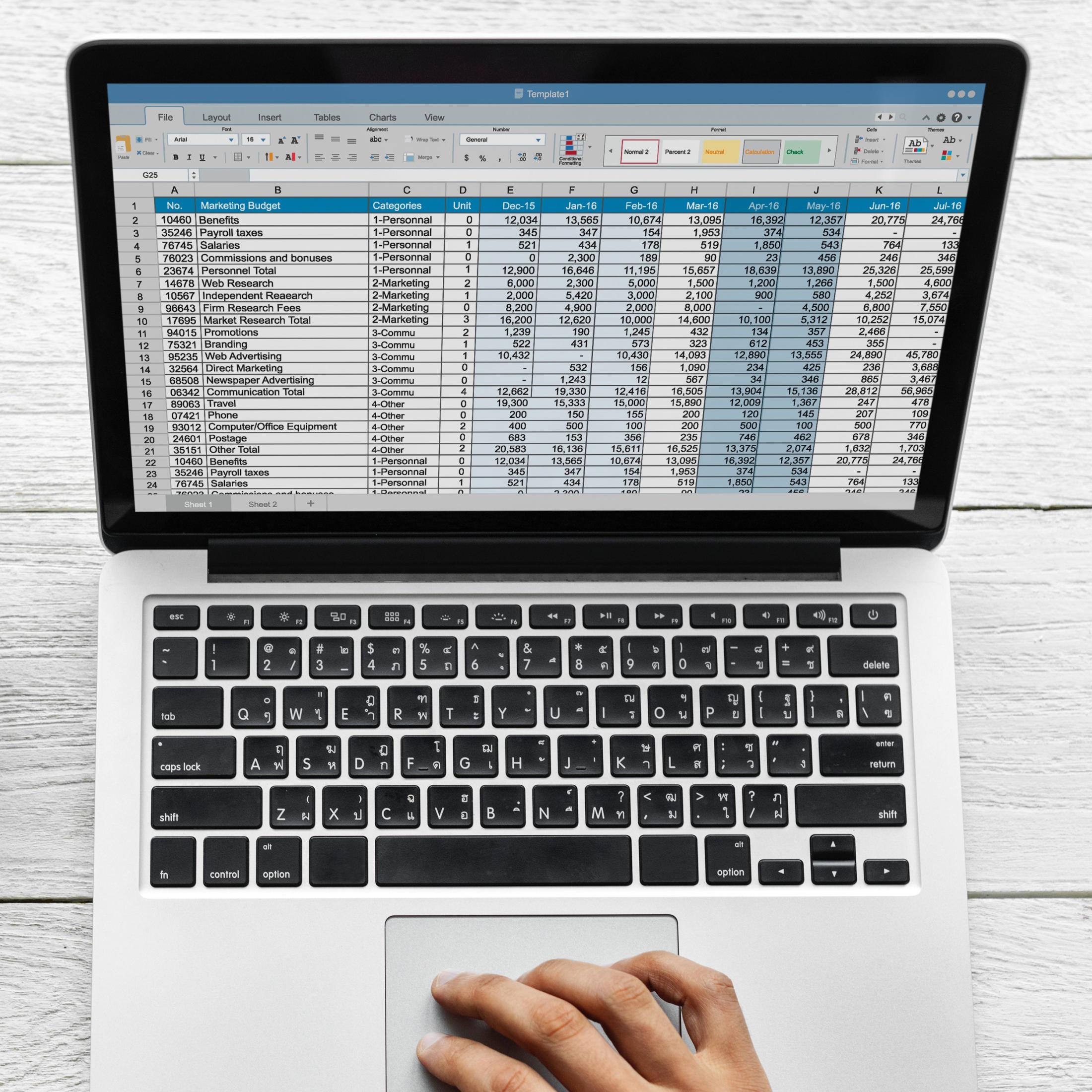 "spreadsheet on laptop screen"